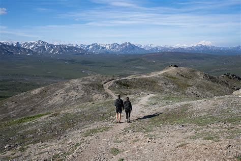 How To Hike Denali S Savage Alpine Trail Savage River Loop Trail