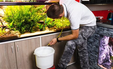 What Is The Proper Way To Change Fish Tank Water Rodi Water Delivery