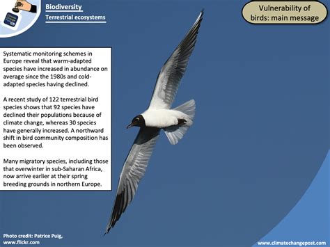 Biodiversity Part 4: terrestrial - ClimateChangePost