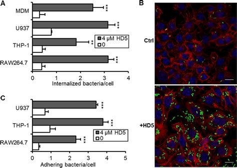 HD5 Promotes Shigella Internalization Into Macrophages By Enhancing