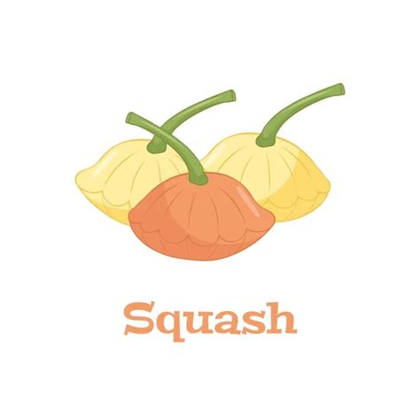 100,000 Squash logo Vector Images | Depositphotos