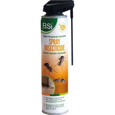 Aérosol insecticide contre les insectes rampants et volants 0 4 L BSI