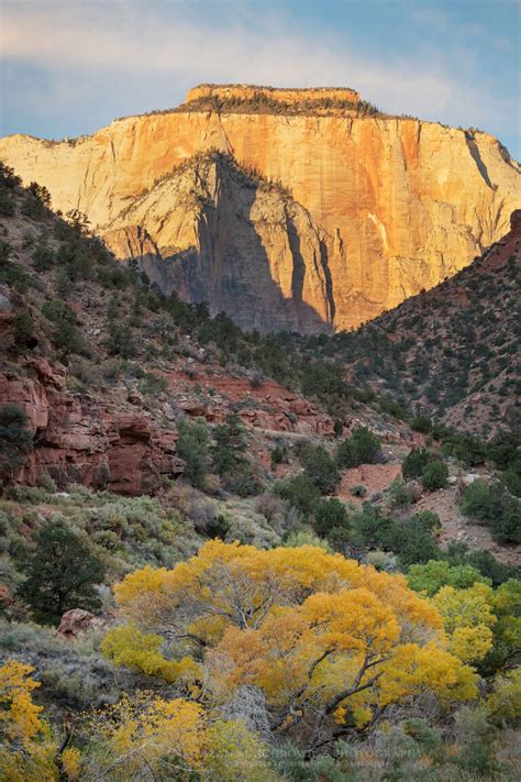 The West Temple Zion National Park Alan Majchrowicz Photography