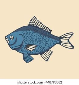 River Fish Vector Stock Vector (Royalty Free) 448798582 | Shutterstock