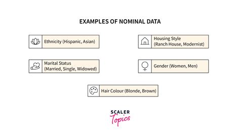 Nominal Data Definition Characteristics And Examples Scaler Topics