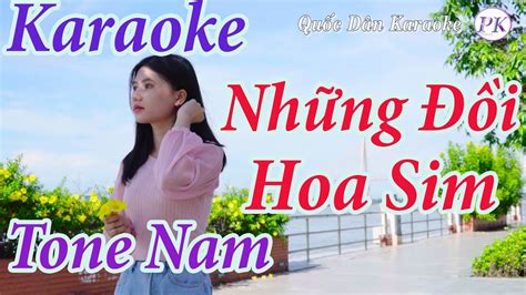 Karaoke Những Đồi Hoa Sim Tone Nam Rê Thứ Dm Quốc Dân Karaoke