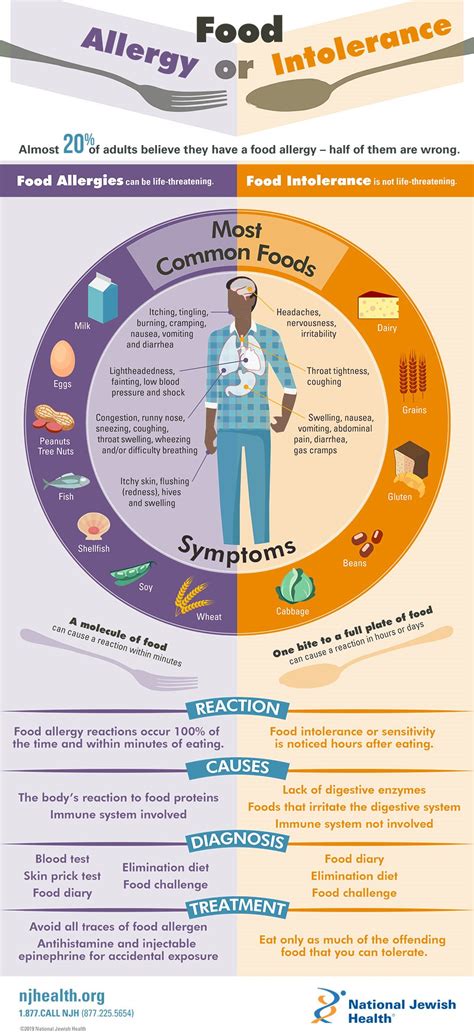 Food Allergies Vs Food Intolerance Infographic