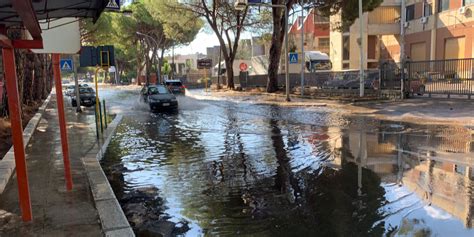 Strade Allagate Auto In Panne Alberi Caduti Ecco Palermo Dopo Il