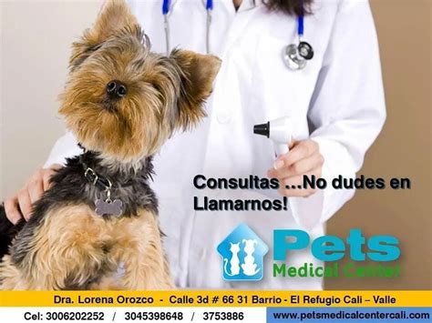 Clínica Veterinaria En Cali