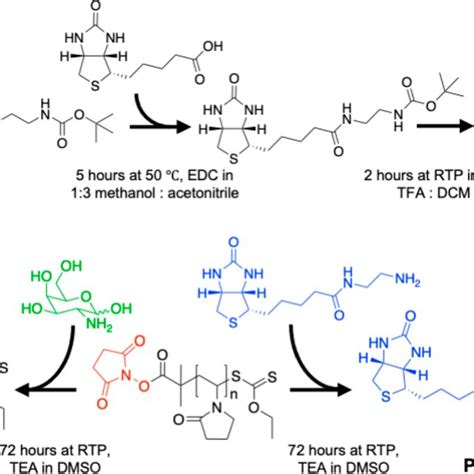 Synthesis of biotin-functionalized and galactosamine-functionalized PVP ...