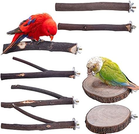 Amazon Limio Bird Perch Bird Toys Parakeet Toys Pcs Bird Swing