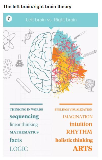 How The Brain Processes Information Study Skills Libguides At Saint