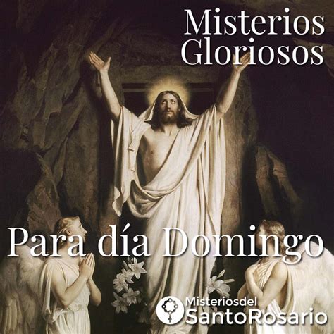 ᐈ 【 ️】DOMINGO - Misterios del Santo Rosario del día