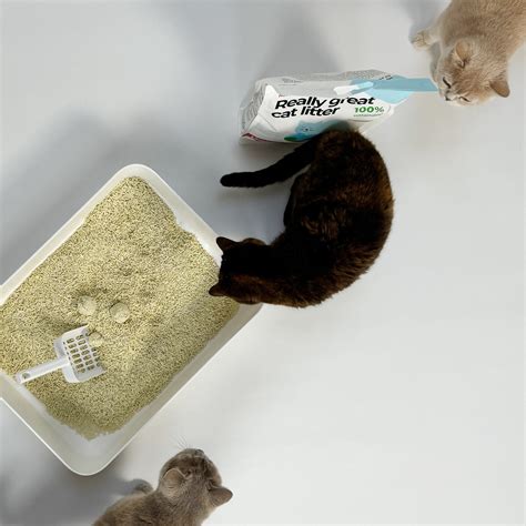 Tofu Natural Cat Litter Hoopo®