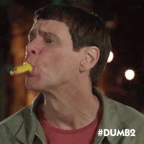 Dumband Dumber Jim Carrey GIF - DumbandDumber JimCarrey Hotdog ...