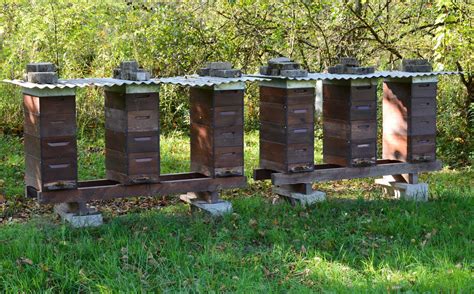 What Is A Langstroth Hive? - Beekeeping 101