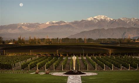 Vin Colas Bodegas Imperd Veis Em Mendoza Tudo A