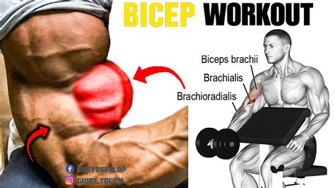 The Ultimate Dumbbell Bicep Tutorial Workout, Benefits Training
