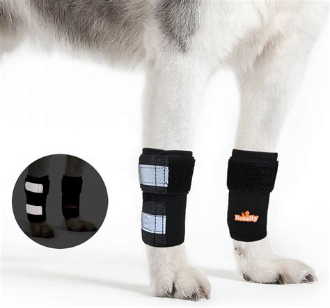 NeoAlly Front Leg Dog Brace, XXS/XS, 2 count - Chewy.com