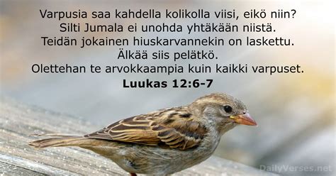 17 tammikuuta 2023 Päivän Raamatun jae Luukas 12 6 7 DailyVerses net