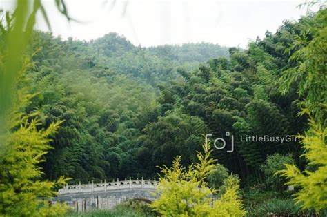 大美泸州，秀美纳溪，纳里很美，溪望你来 泸州游记攻略【同程旅游攻略】