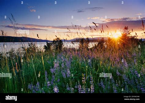 Sunset On Idahos Lake Pend Oreille Near Hope Idaho Located On The