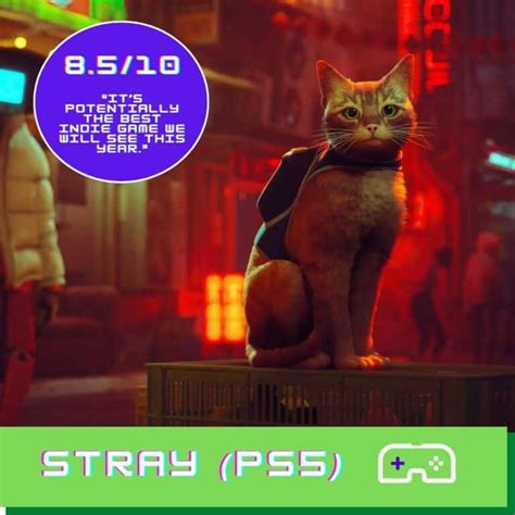 Stray PS5 Review - A Phenomenal Feline Adventure - Indie Game Culture