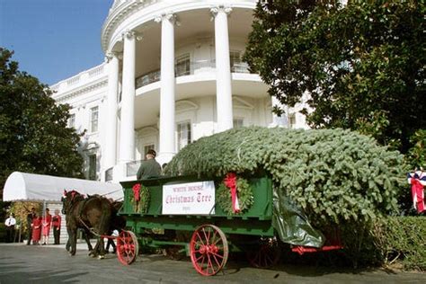 White House Christmas Trees - Facts and History Behind White House ...