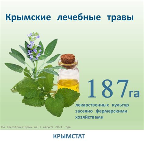 Крымские лечебные травы | Новости | Евпатория. Республика Крым