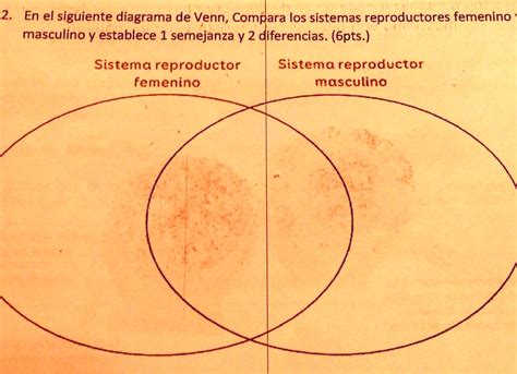 Solved En El Siguiente Diagrama De Venn Compara Los Sistemas