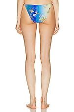 SIEDRES Bambi Bikini Bottom In Multi FWRD