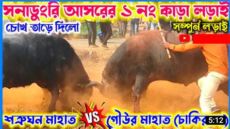 ১৫ ই ভাদ্র★সোনাডুংরি আসরের ১ নং কাড়া লড়াই★শত্রুঘন মাহাত বনাম গৌউর