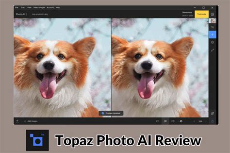 Topaz Photo AI Review In 2024 Is It Worth It