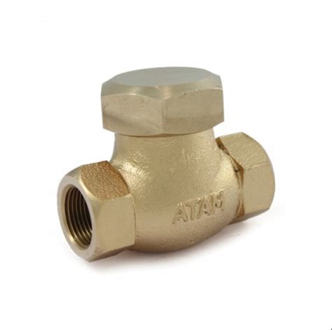 Atam Av 34 Gun Metal Horizontal Lift Check Valve At Best Price In Ahmedabad