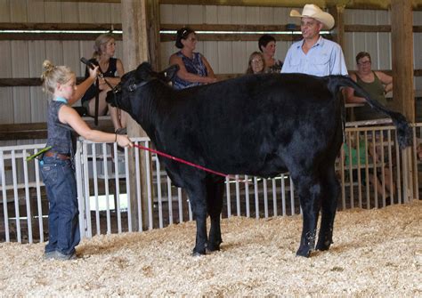 Cattle Show Helps Usher In Pike County Fair Eagle102