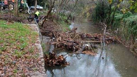 Retiran 64 ramas y árboles caídos al Lagares