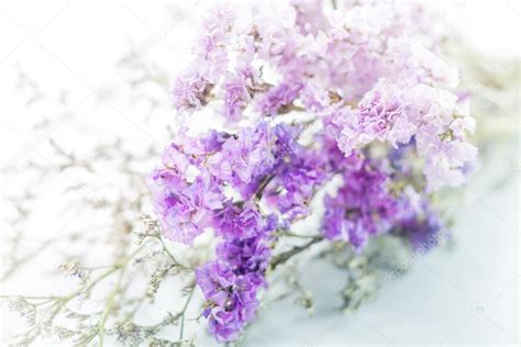 Beautiful statice flower bouquet on white background — Stock Photo ...