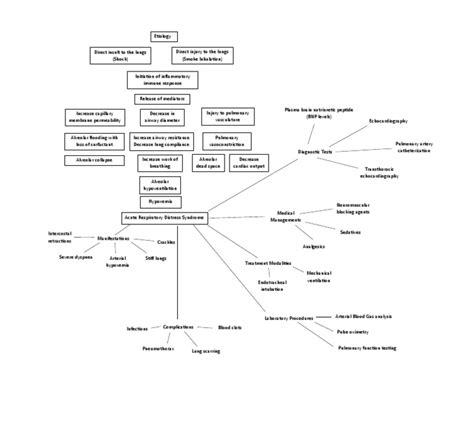 Ards Concept Map Pdf Lung Organ Anatomy