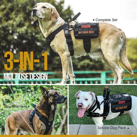 Guardian Dog Harness Set Onetigris