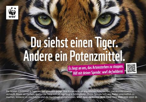 Welche Hausschrift Benutzt World Wide Fund For Nature WWF