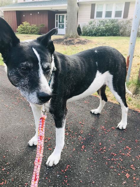 The Legendary Adventures of Sammy