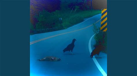 Go Big Or Go Horny Youtube