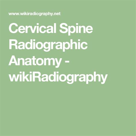 Cervical Spine Radiographic Anatomy Artofit