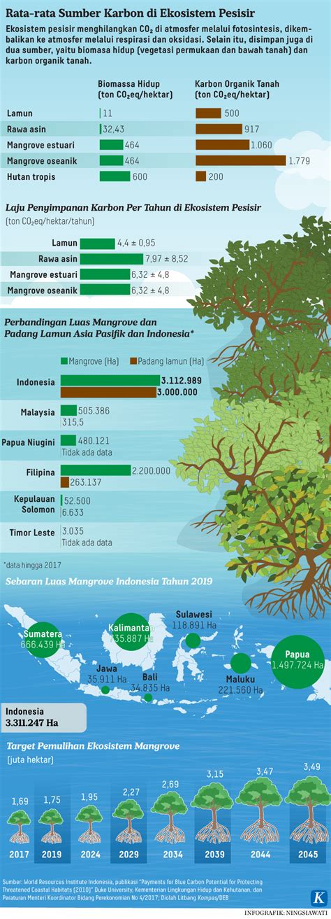 Penghitungan Penurunan Emisi Di Kelautan Terkendala Data Dasar Kompas Id