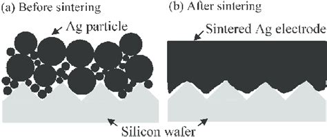 Schematic Representation Of The Cross Section Of Ag Electrode Before Download Scientific