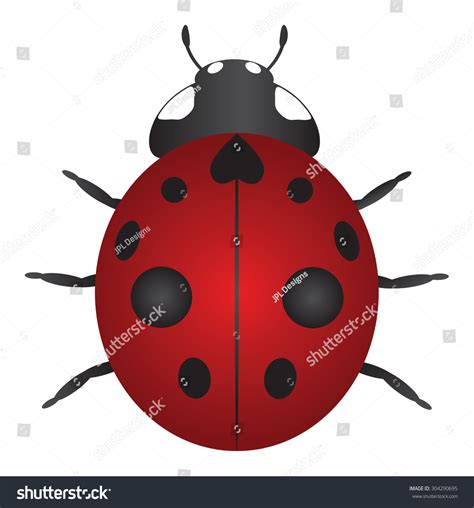 Nine Spotted Ladybug: Over 23 Royalty-Free Licensable Stock