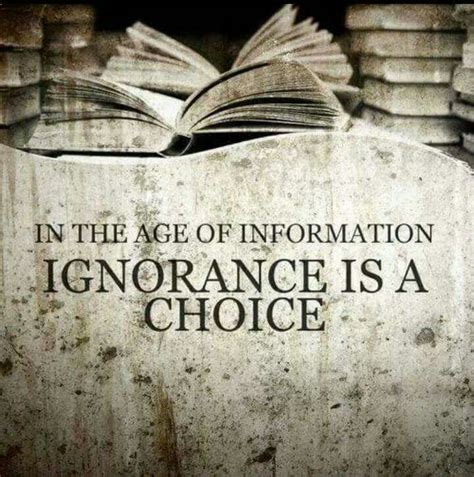 Ignorance Is Never An Excuse Words Truth Quotes