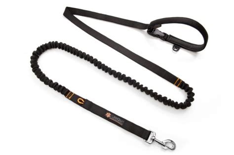 Czarna Smycz Dla Psa Z Amortyzatorem Joqu Two Runners Leash Tiptop Pl