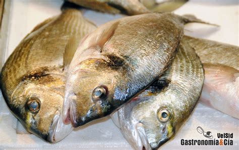 Cómo saber si el pescado es fresco Gastronomía Cía