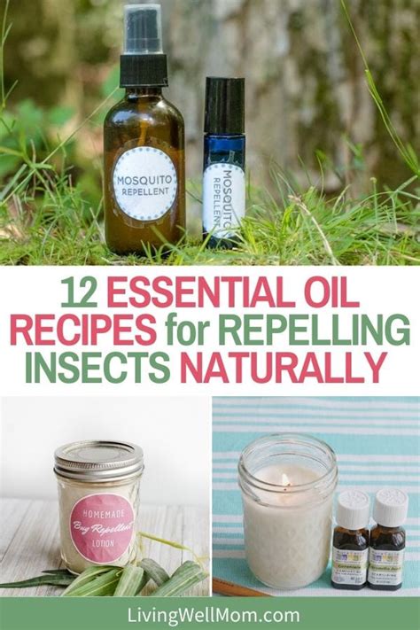 Essential Oils That Repel Bugs How To Treat Bites